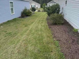 Jason T.'s grass maintenance service result