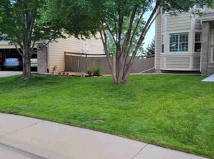 Jonathan C.'s lawn care service result