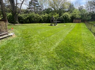 Kristin S.'s grass maintenance service result
