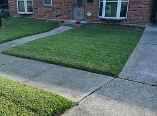 Sandra L.'s grass cutting service result