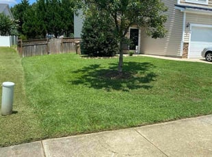 Halima A.'s lawn care service result