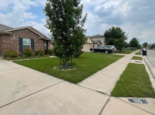 Anthony T.'s turf maintenance service result