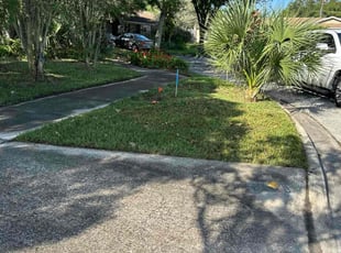 Chad A.'s lawn maintenance service result