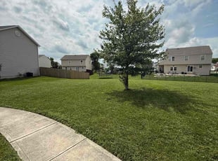 Amy K.'s lawn service service result