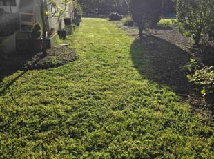 Melissa S.'s lawn maintenance service result