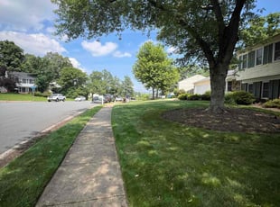 David M.'s turf care service result
