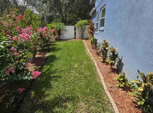 Dave K.'s turf care service result
