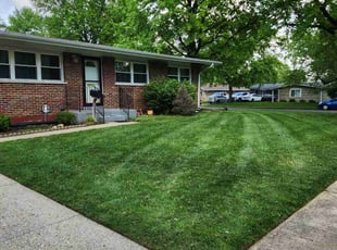 Savannah O.'s turf maintenance service result