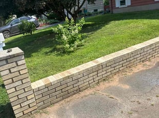 Betsy L.'s grass maintenance service result