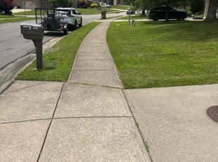 Emmett W.'s grass maintenance service result