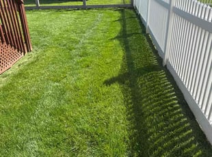 Dominic M.'s lawn care service result
