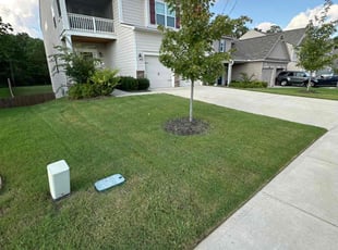 Kim F.'s grass cutting service result