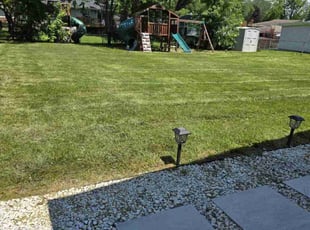 Demetrios V.'s grass maintenance service result