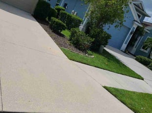 Day H.'s turf maintenance service result