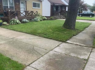 Christy C.'s lawn care service result