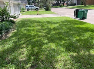Dallas b.'s turf care service result