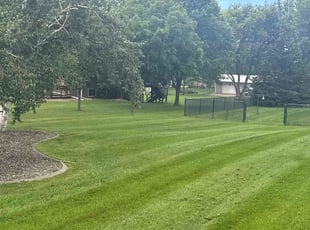 David R.'s lawn care services service result