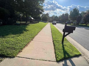 Jack F.'s gardening service service result