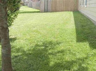 Sharon S.'s Long Grass Cleanup service result