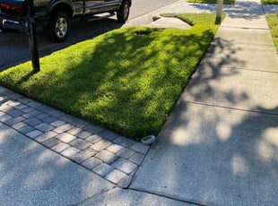 Shelley V.'s lawn care service result