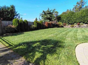 Fred B.'s lawn care service result