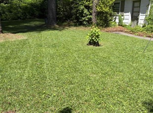 Devon L.'s lawn care services service result