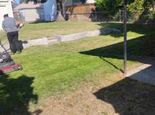 Leshandra M.'s turf care service result