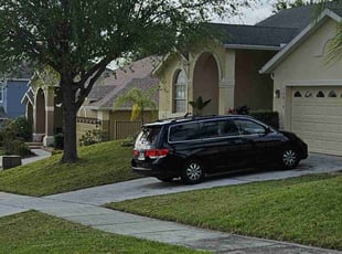 Eric J.'s Leaf Removal service result