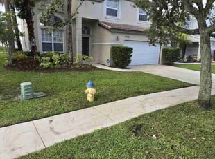 Sheron R.'s turf maintenance service result