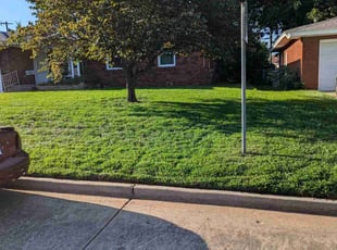 Carson G.'s residential landscaping service result