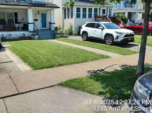 Alexandra W.'s lawn service service result