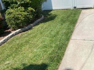 Ronnie W.'s turf care service result