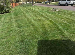 Vee M.'s lawn care services service result