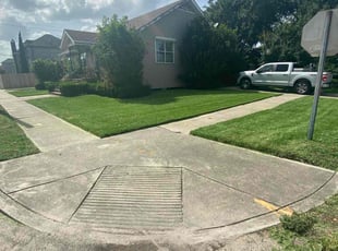 Maria M.'s grass maintenance service result