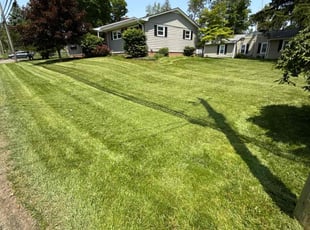 Sara S.'s turf care service result