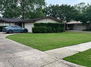Judith R.'s lawn maintenance service result