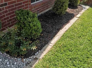 Sherry H.'s turf maintenance service result