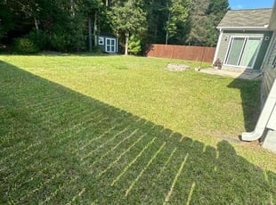 Robert B.'s grass maintenance service result