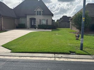 Clint V.'s lawn maintenance service result