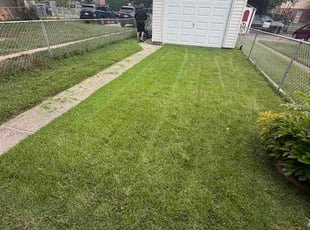 Bob L.'s lawn maintenance service result