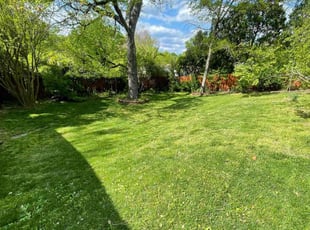 Terry R.'s Tree Care service result