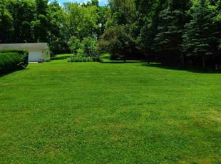 Canan C.'s lawn care services service result