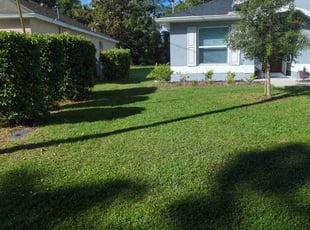 Brock R.'s turf care service result