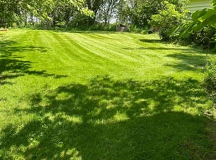Maria M.'s lawn care services service result