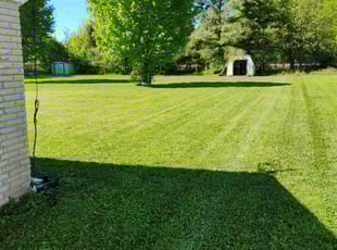 Andrea S.'s lawn maintenance service result