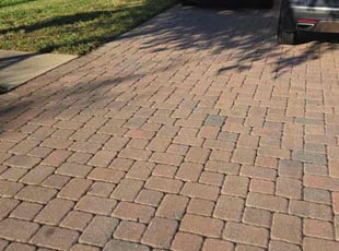 Stuart M.'s turf care service result