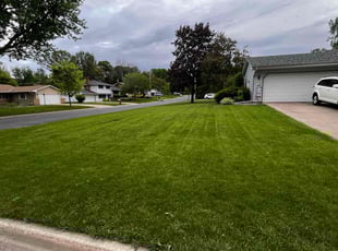 Iona D.'s lawn care service result