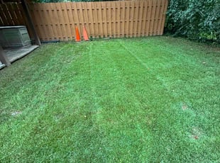 Judith F.'s turf maintenance service result