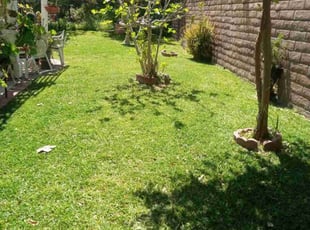 Robert E.'s lawn maintenance service result