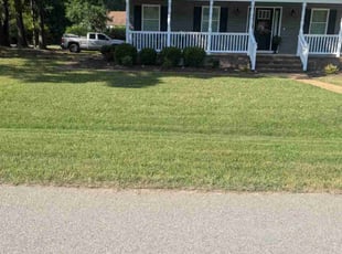 Cassandra G.'s turf maintenance service result